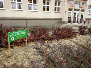 szkolna_rabata